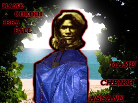 MAME CHEIKH IBRAHIMA FALL